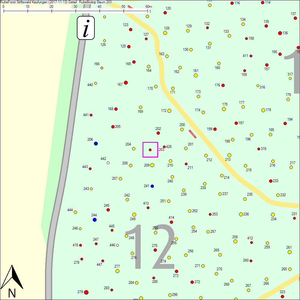 Detailkarte zu Baum 203