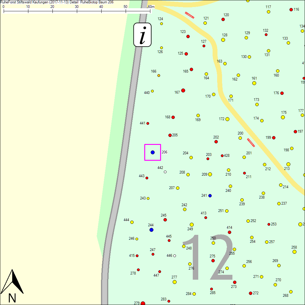 Detailkarte zu Baum 206