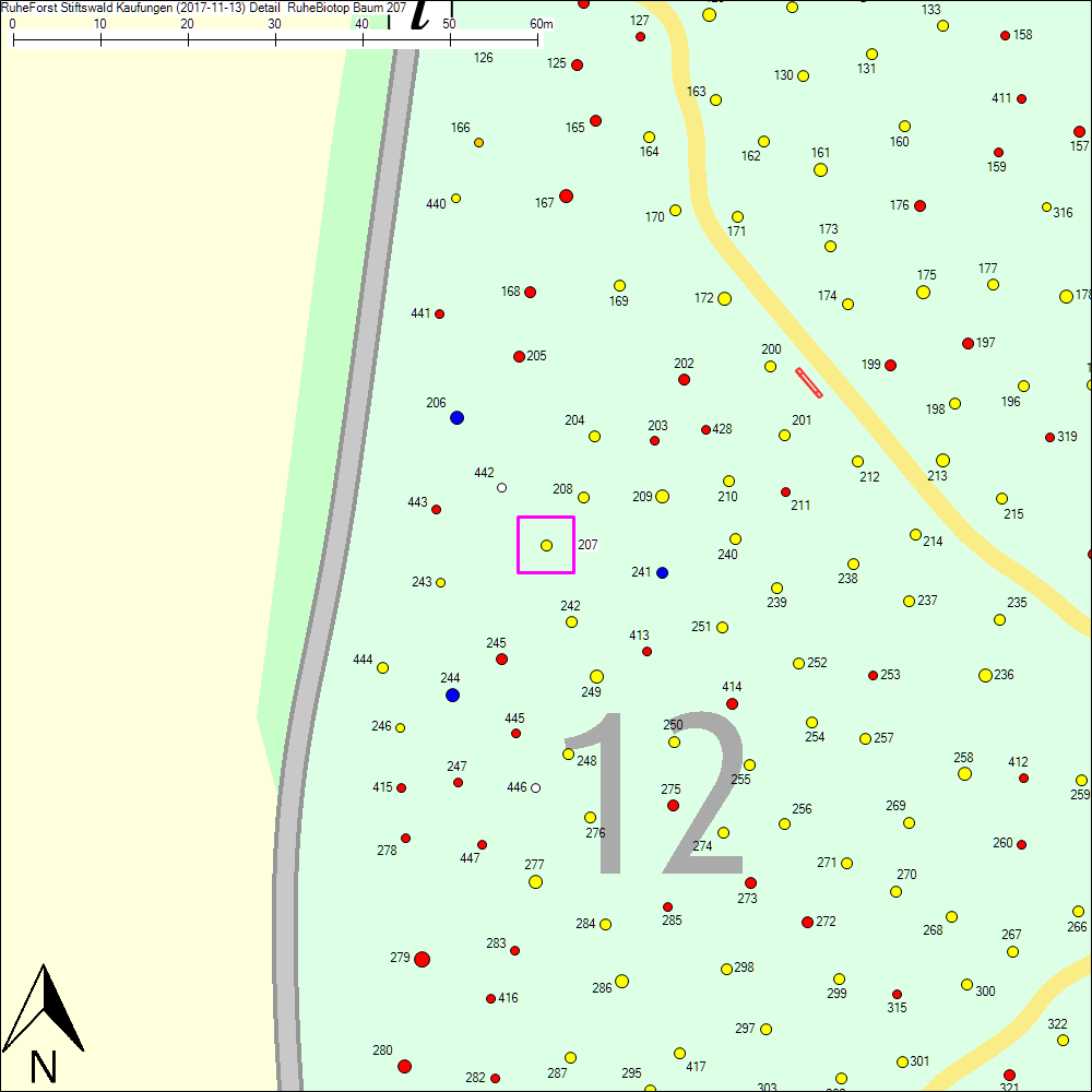 Detailkarte zu Baum 207