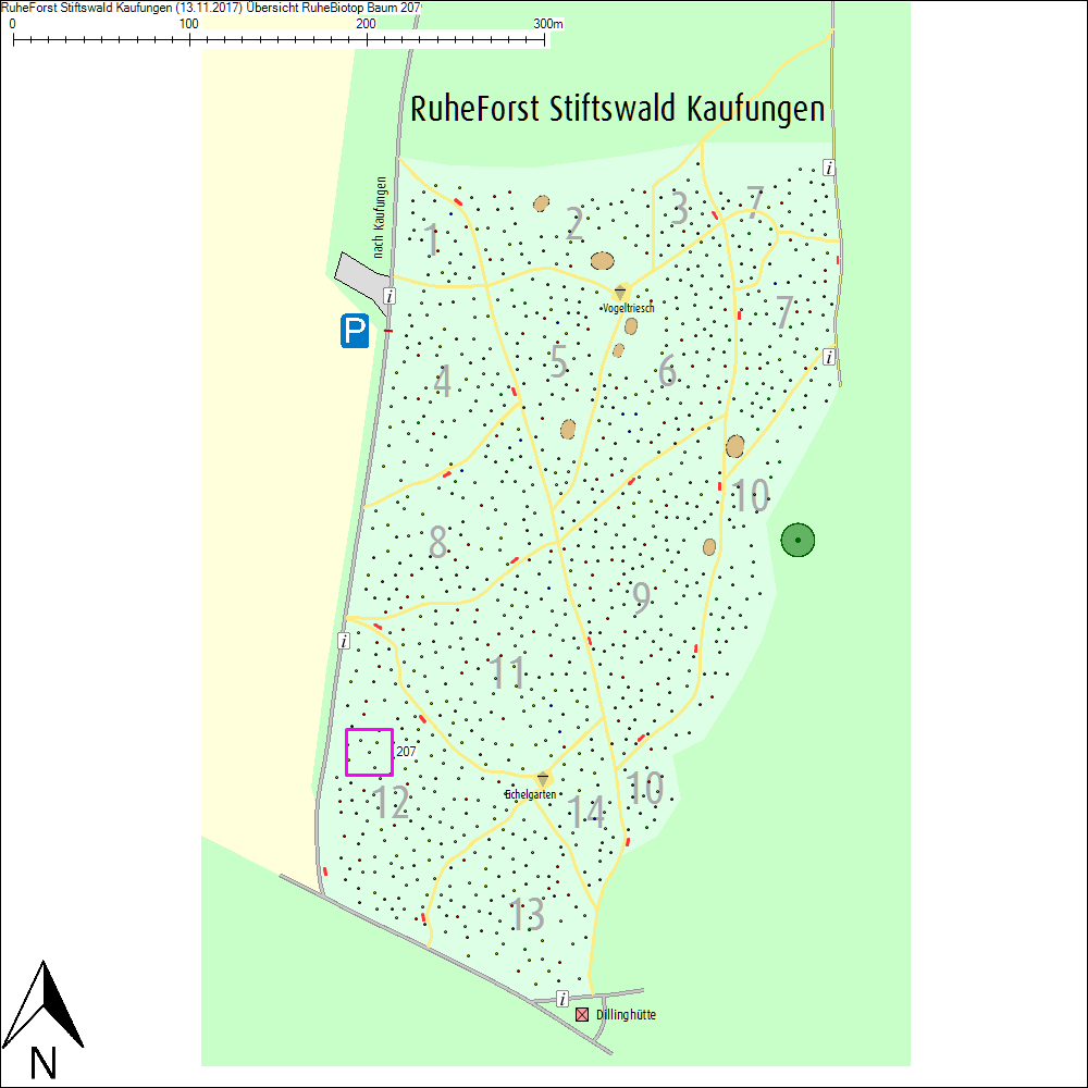 &Uuml;bersichtskarte zu Baum 207