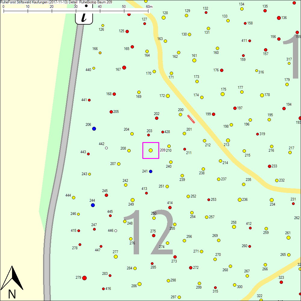 Detailkarte zu Baum 209