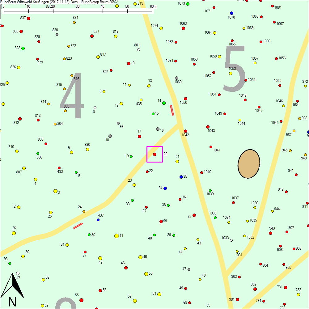 Detailkarte zu Baum 20