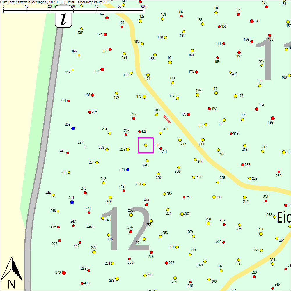 Detailkarte zu Baum 210