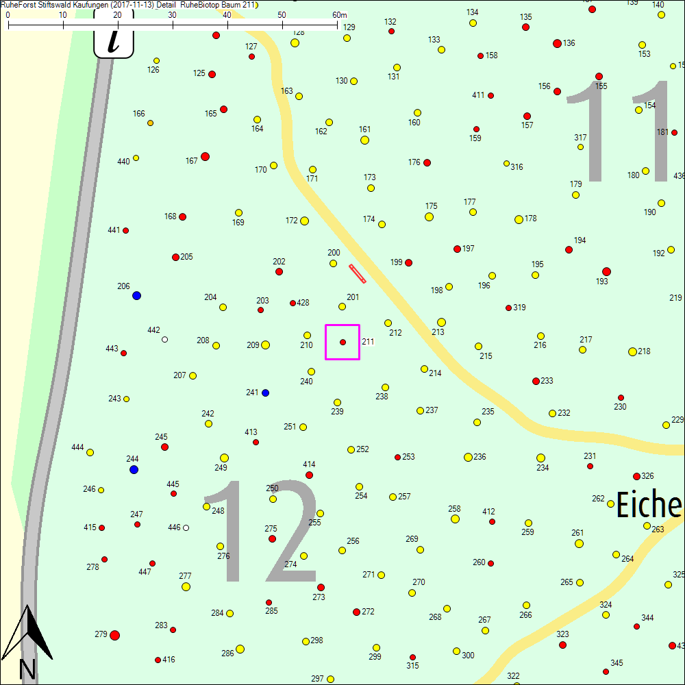 Detailkarte zu Baum 211