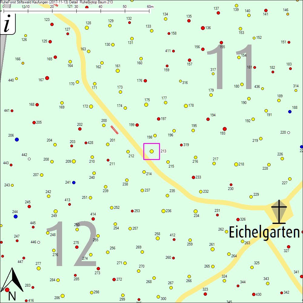 Detailkarte zu Baum 213