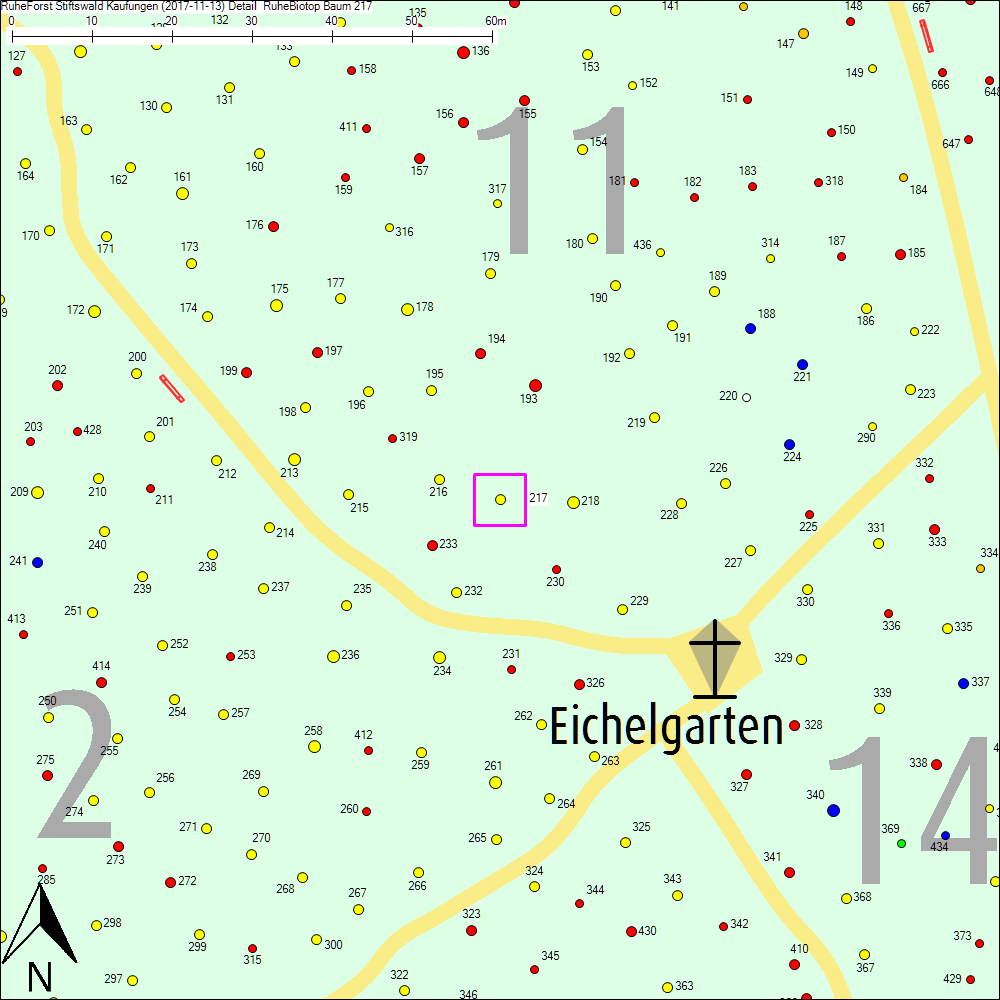 Detailkarte zu Baum 217