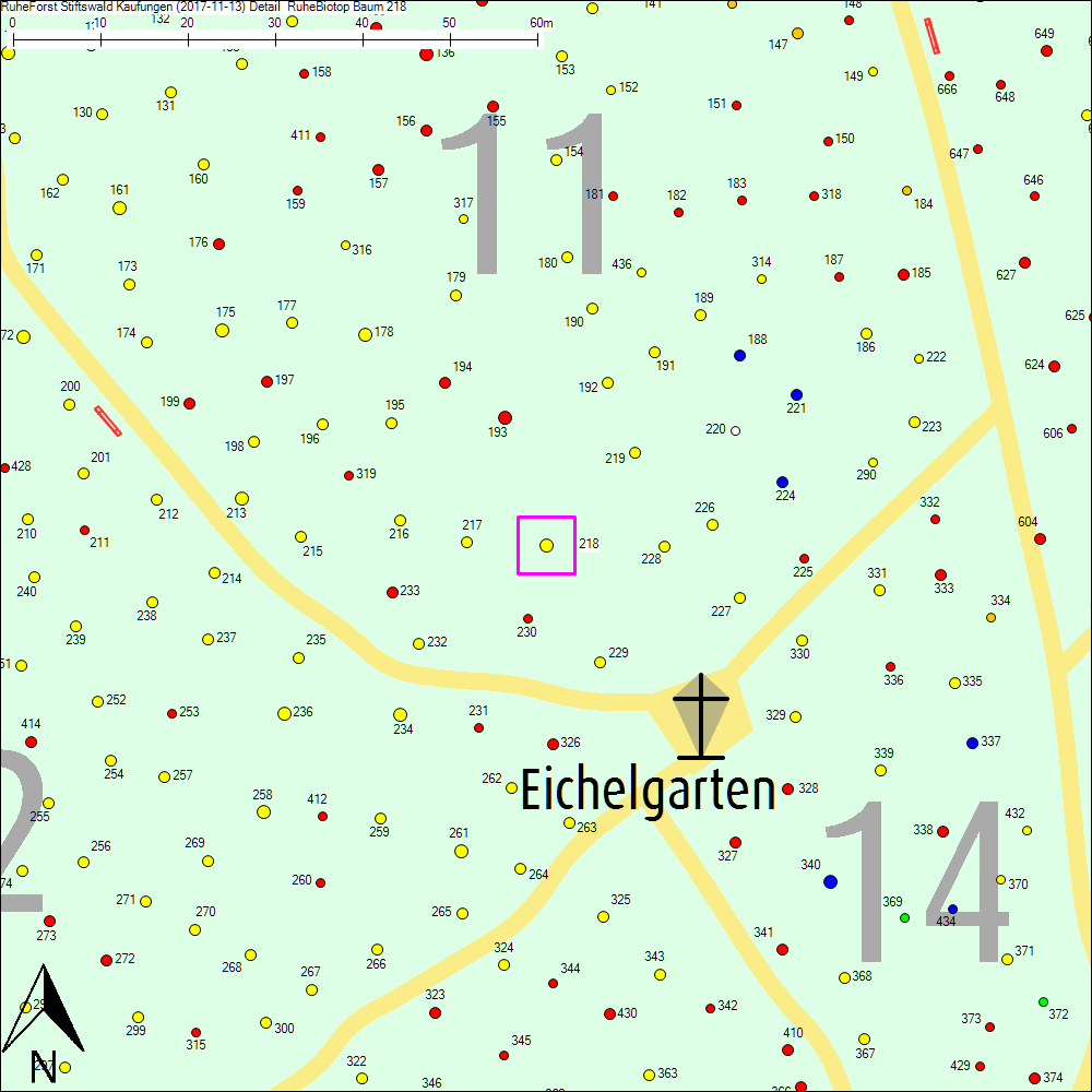 Detailkarte zu Baum 218