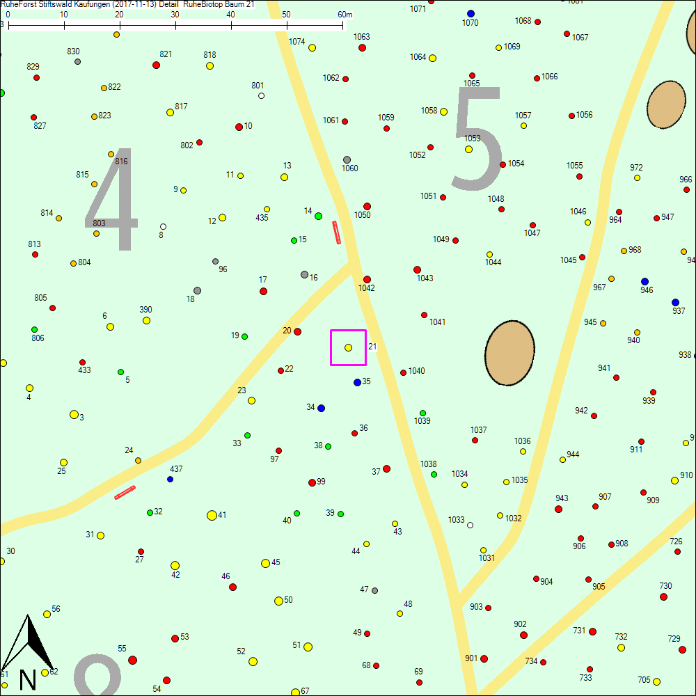 Detailkarte zu Baum 21