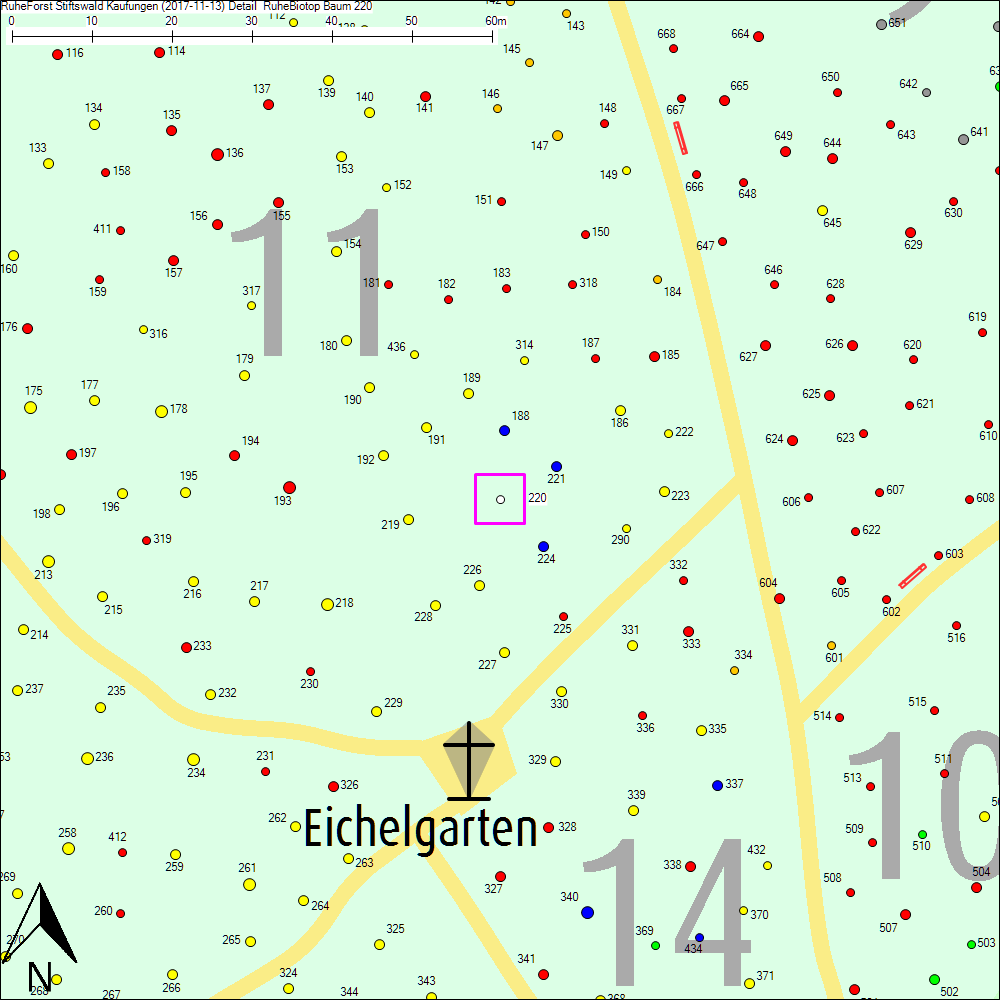 Detailkarte zu Baum 220