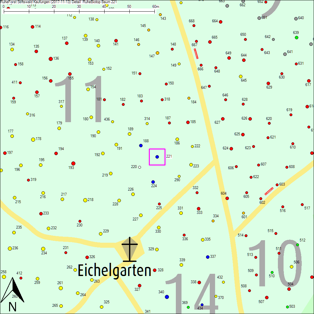 Detailkarte zu Baum 221