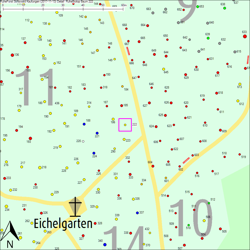 Detailkarte zu Baum 222