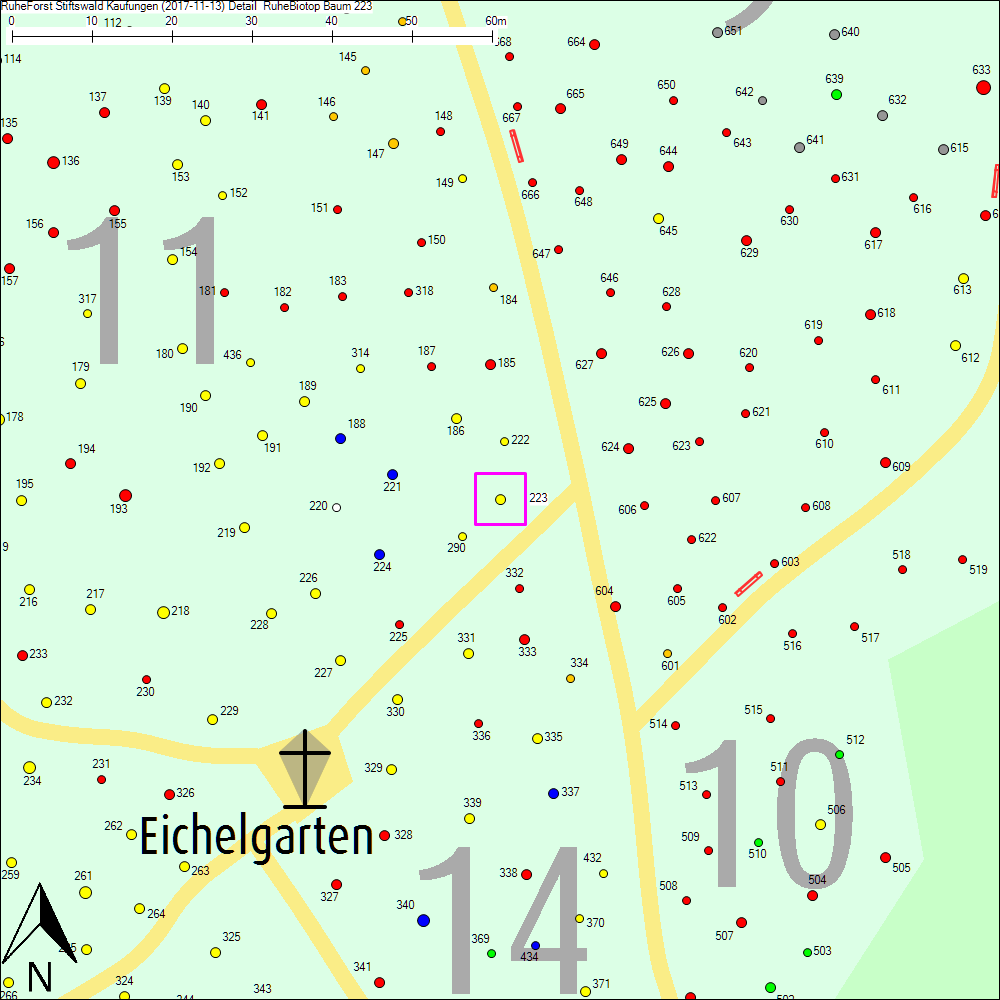 Detailkarte zu Baum 223