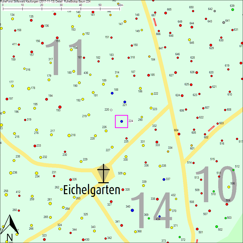 Detailkarte zu Baum 224