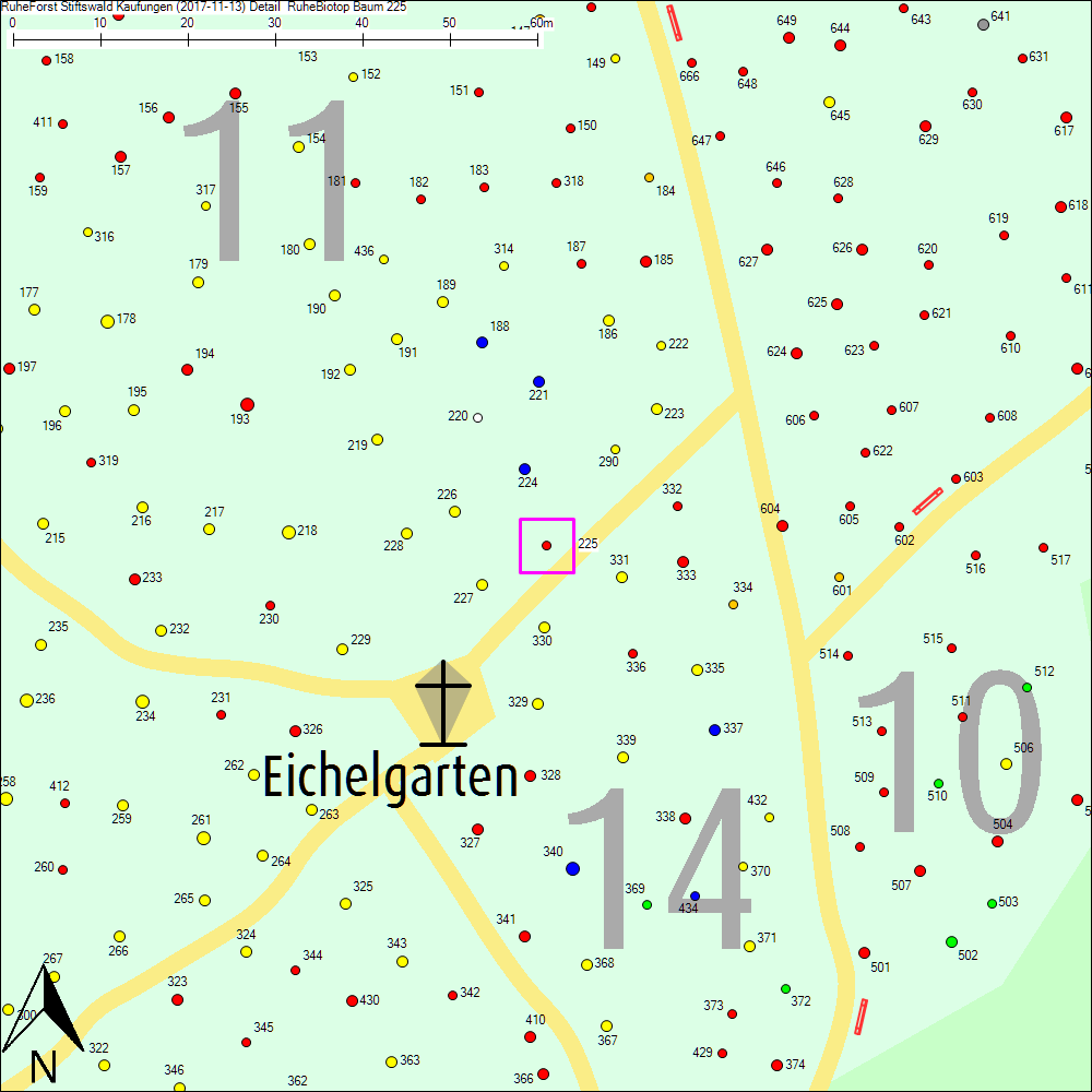 Detailkarte zu Baum 225