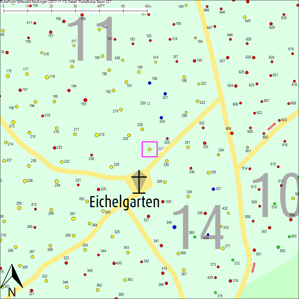 Detailkarte zu Baum 227