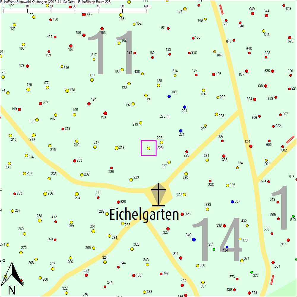 Detailkarte zu Baum 228