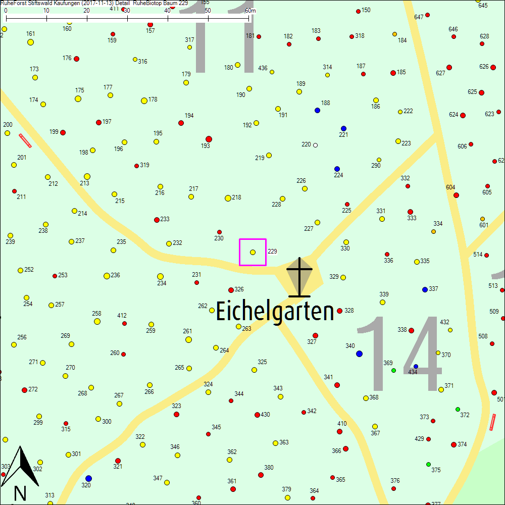 Detailkarte zu Baum 229