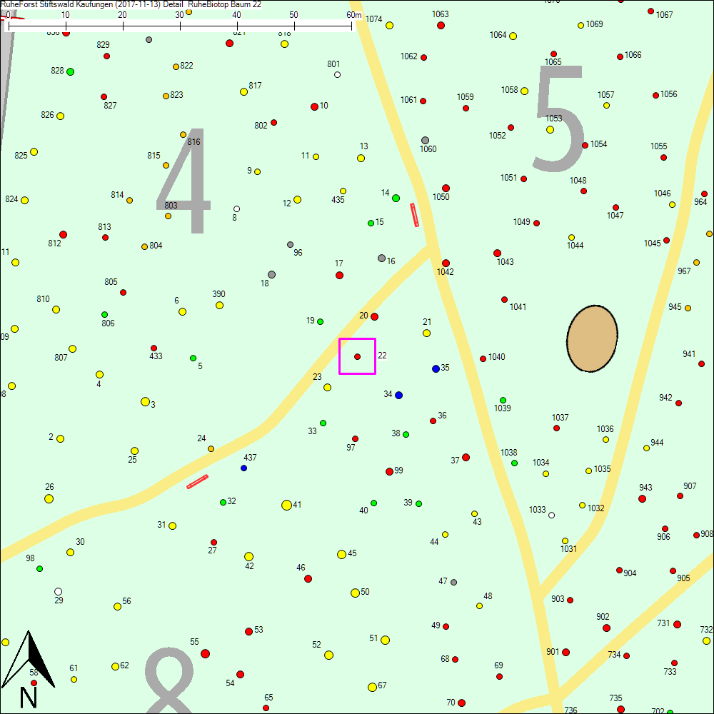 Detailkarte zu Baum 22
