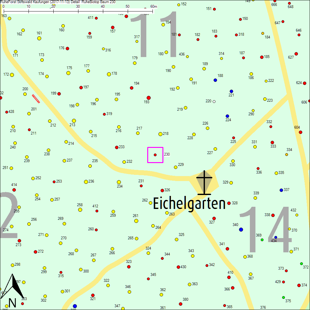 Detailkarte zu Baum 230