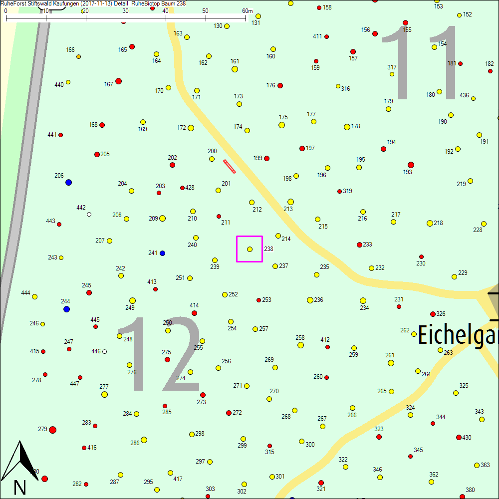 Detailkarte zu Baum 238