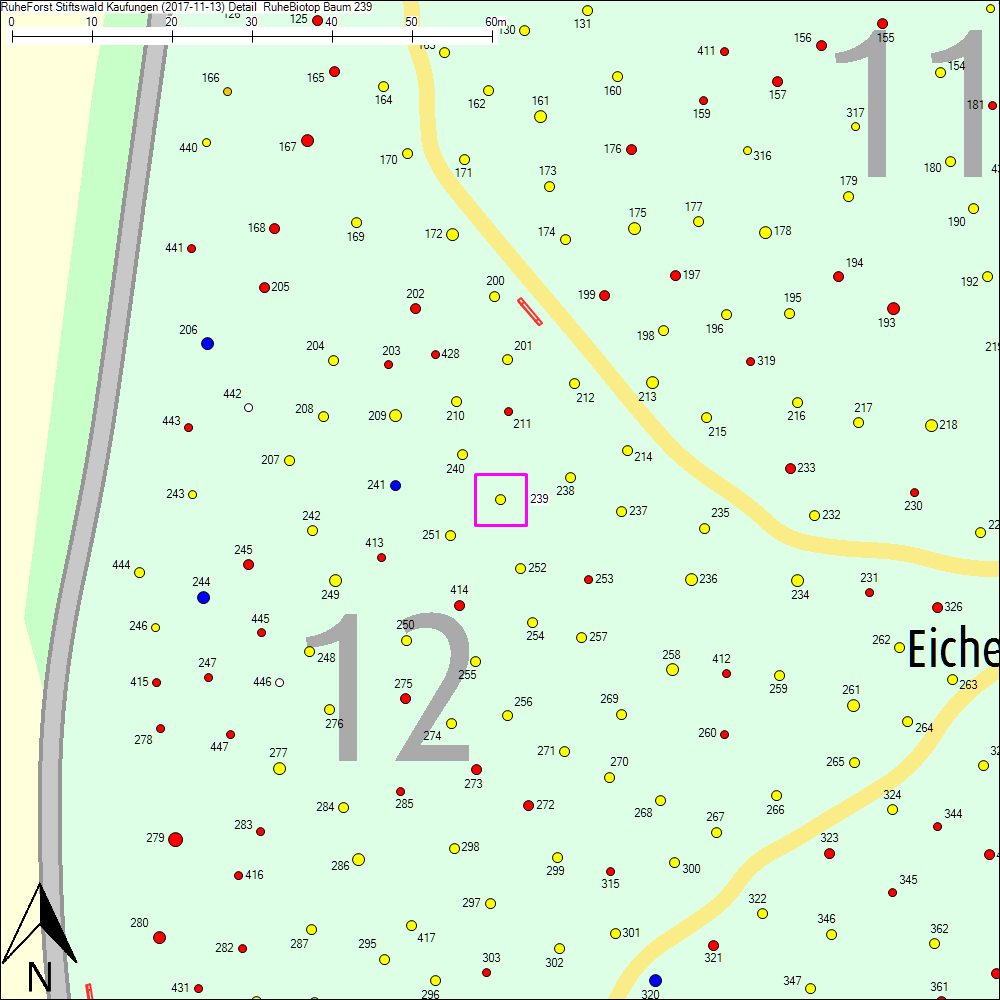 Detailkarte zu Baum 239