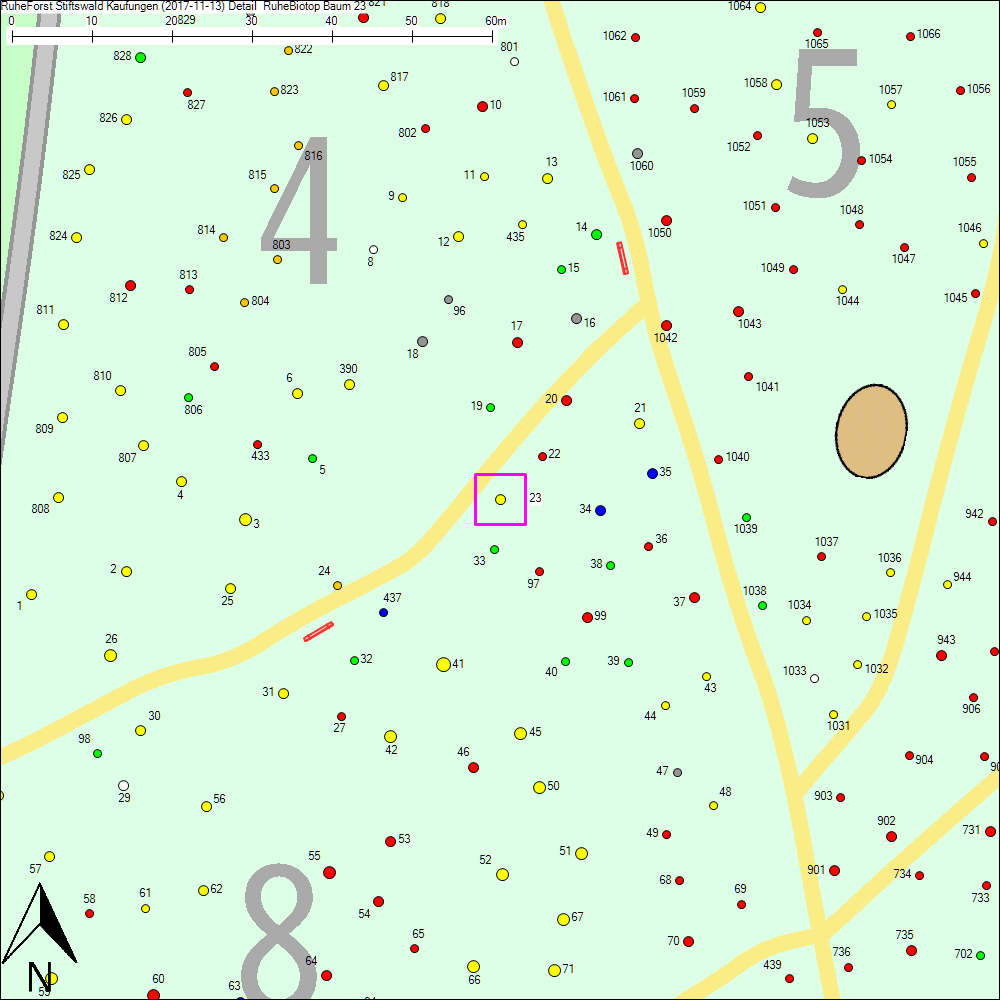 Detailkarte zu Baum 23