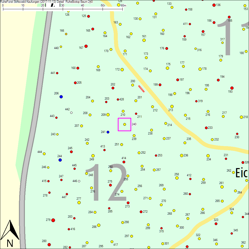 Detailkarte zu Baum 240