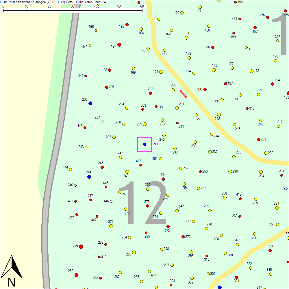 Detailkarte zu Baum 241