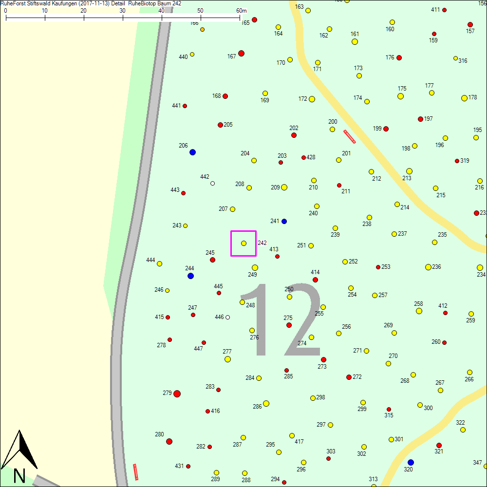 Detailkarte zu Baum 242