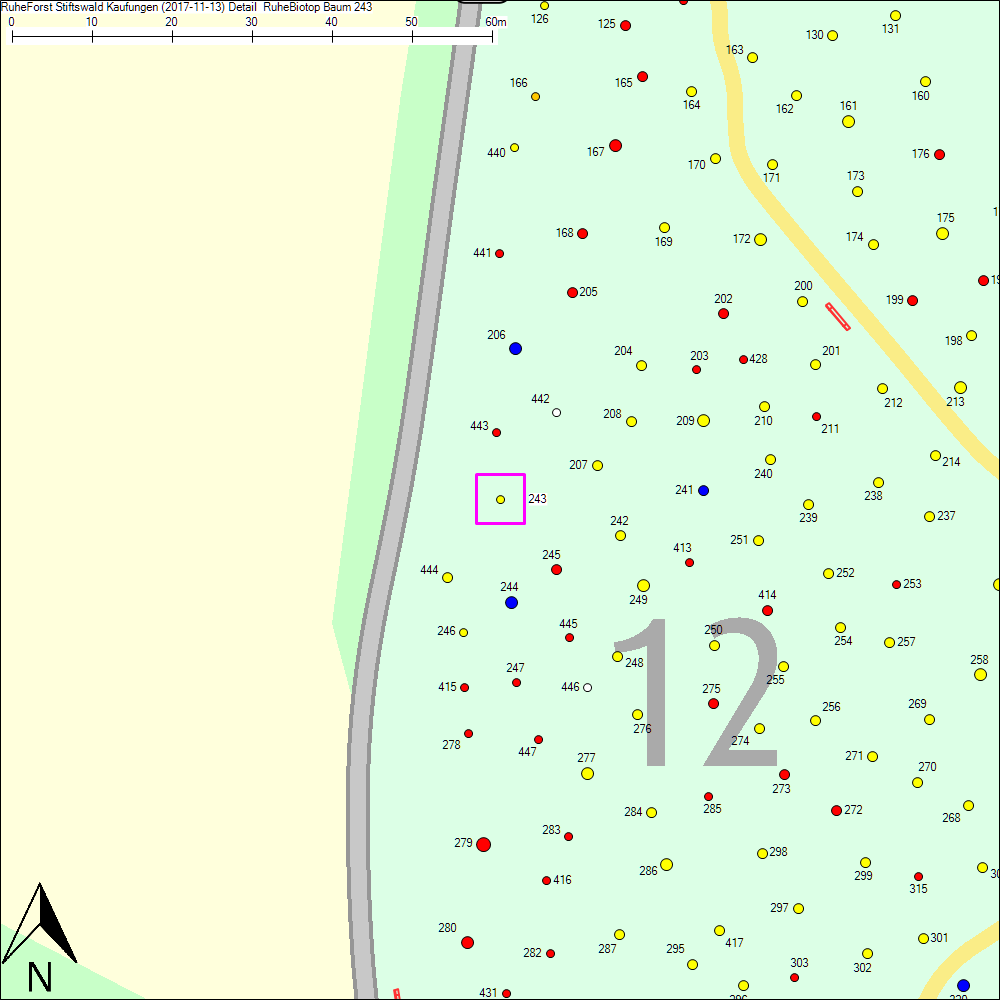 Detailkarte zu Baum 243