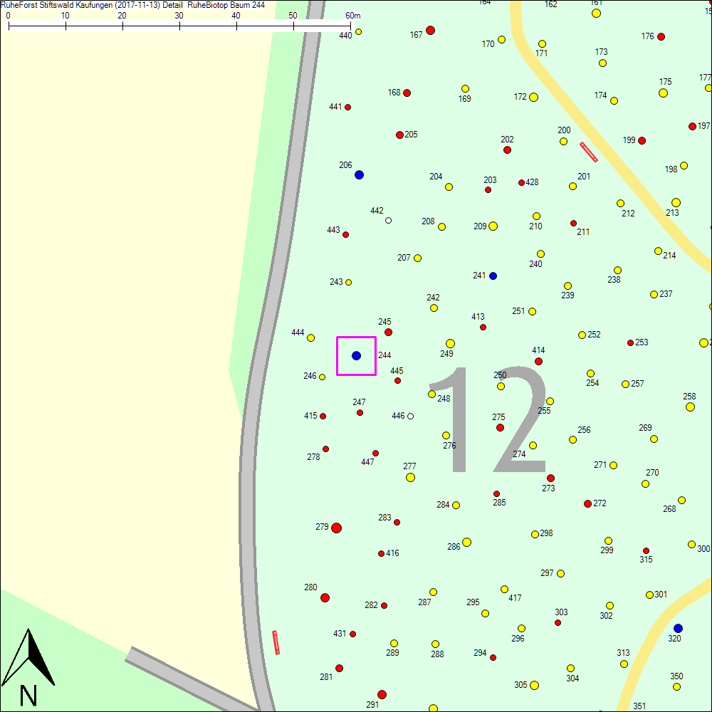 Detailkarte zu Baum 244