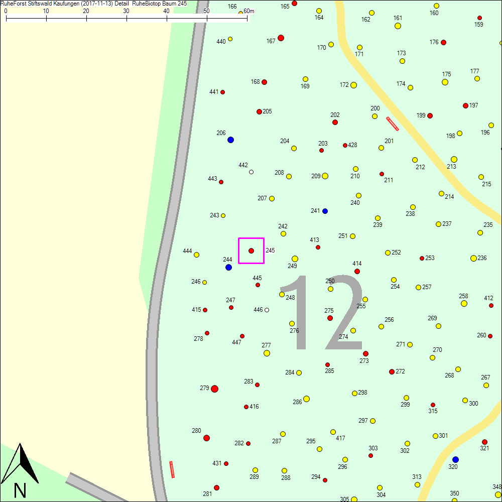 Detailkarte zu Baum 245