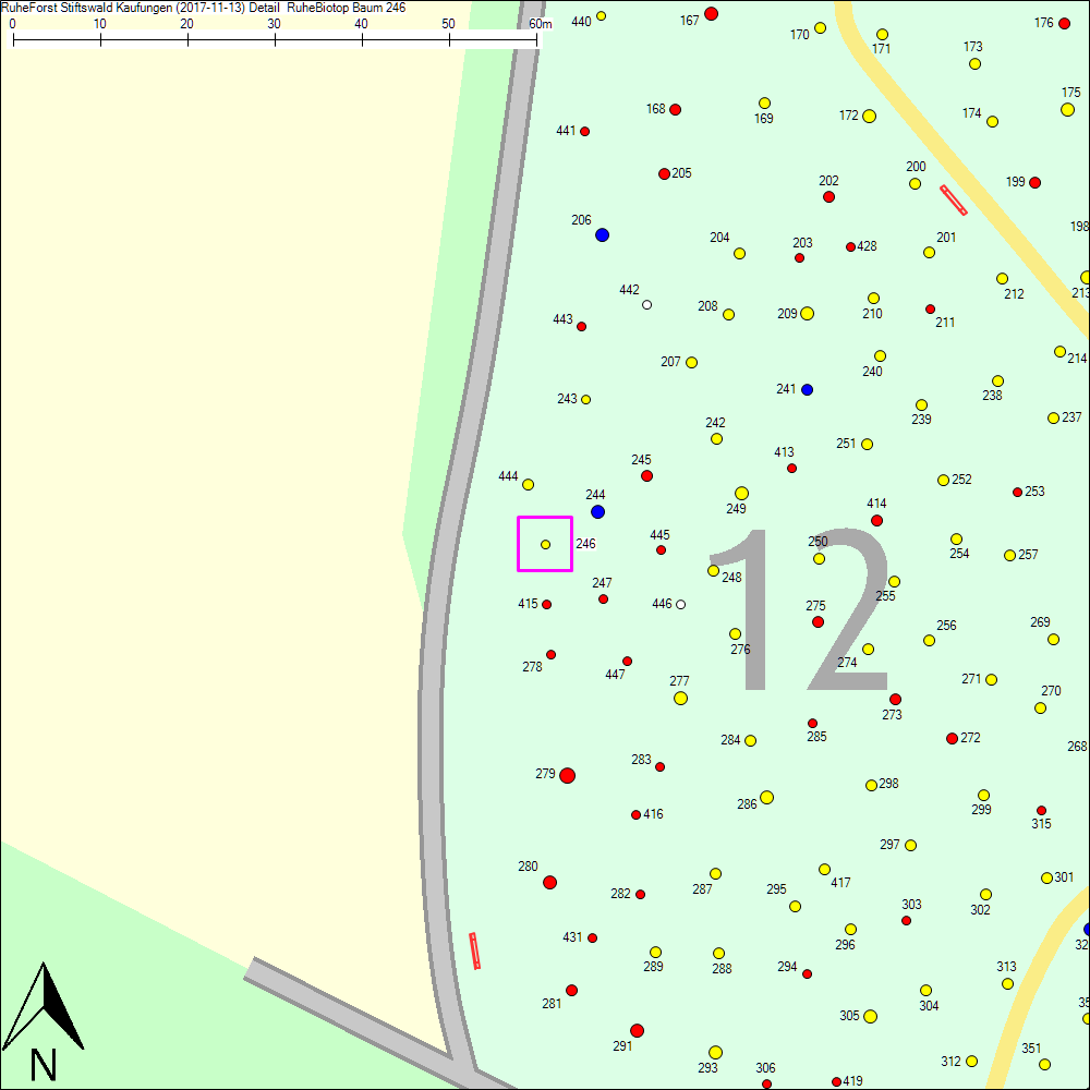 Detailkarte zu Baum 246