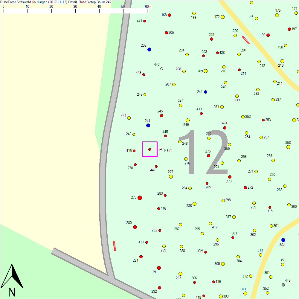 Detailkarte zu Baum 247