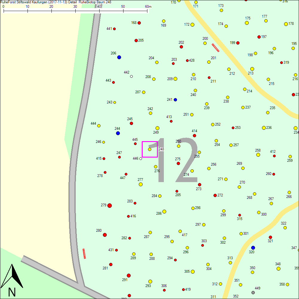 Detailkarte zu Baum 248
