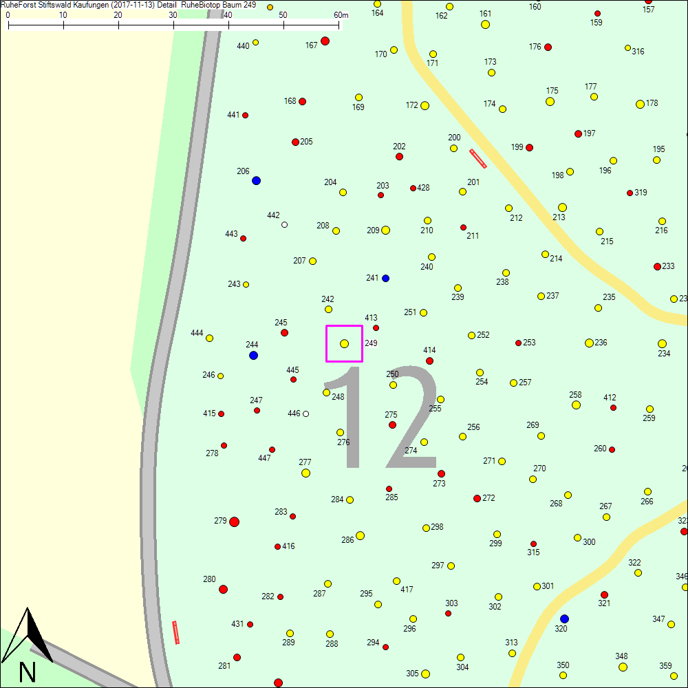 Detailkarte zu Baum 249