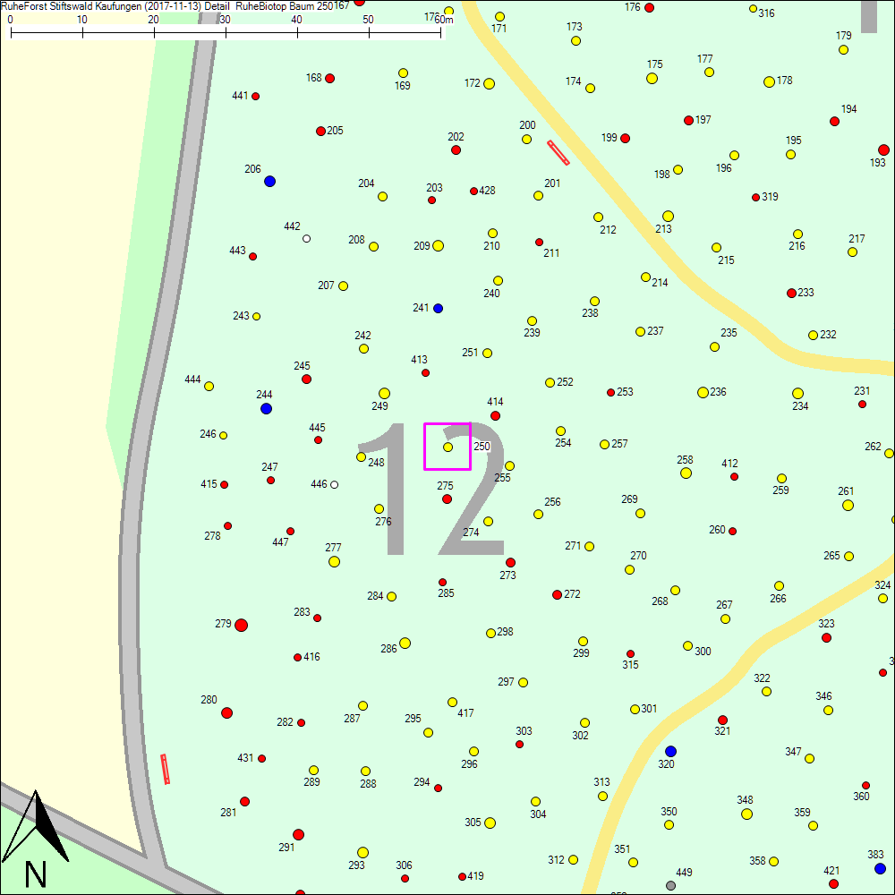 Detailkarte zu Baum 250