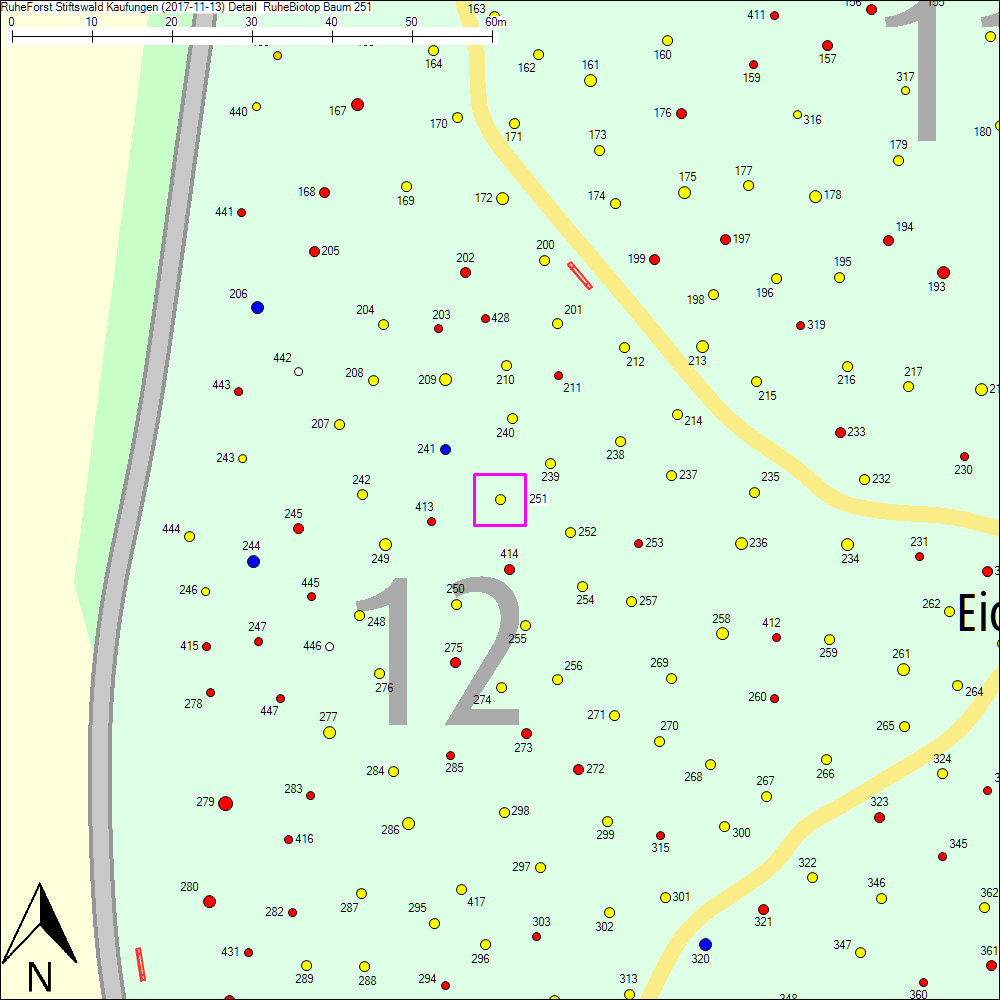 Detailkarte zu Baum 251