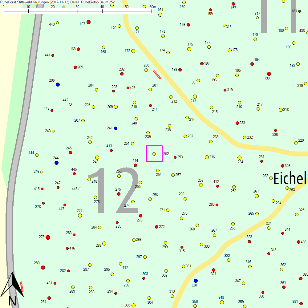 Detailkarte zu Baum 252