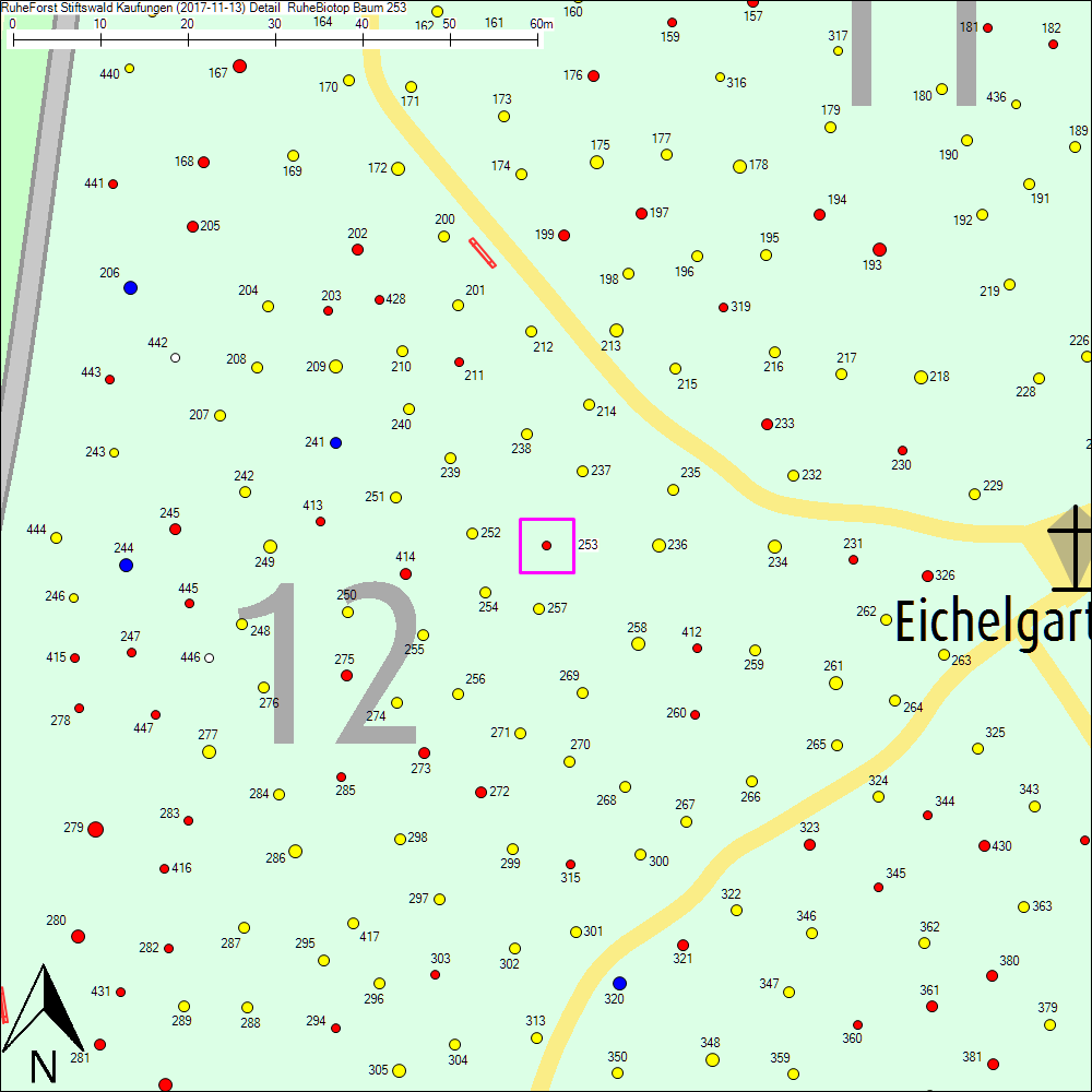 Detailkarte zu Baum 253