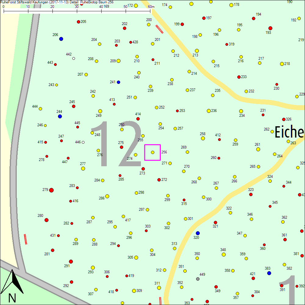Detailkarte zu Baum 256