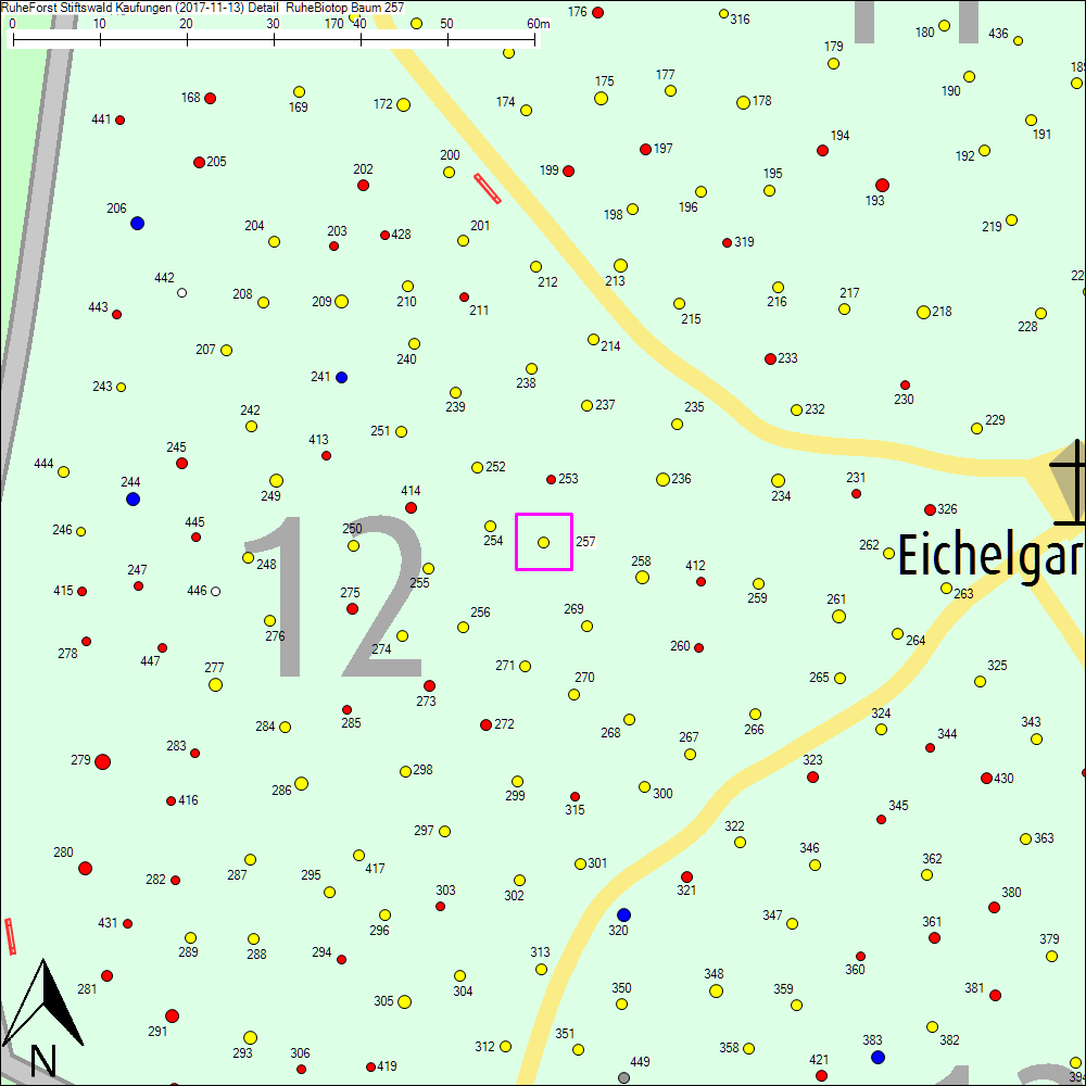 Detailkarte zu Baum 257