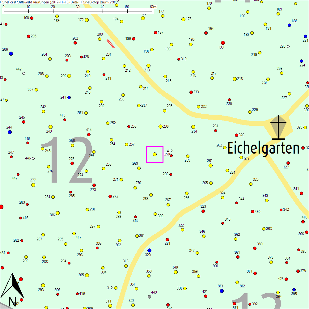 Detailkarte zu Baum 258