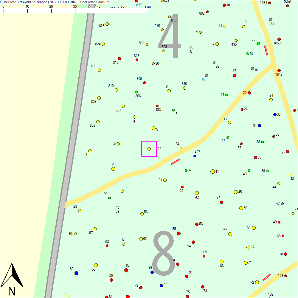 Detailkarte zu Baum 25