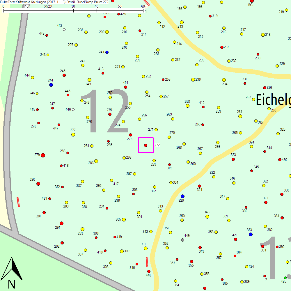 Detailkarte zu Baum 272