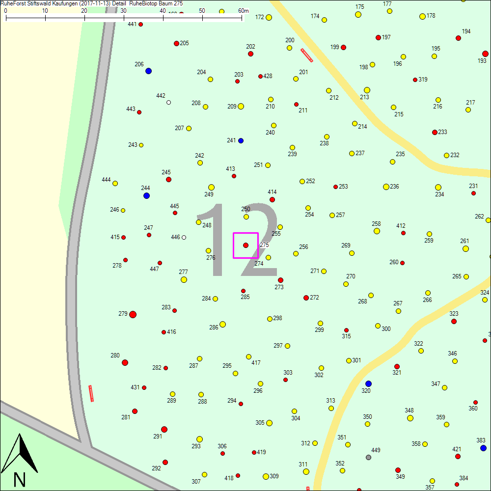 Detailkarte zu Baum 275