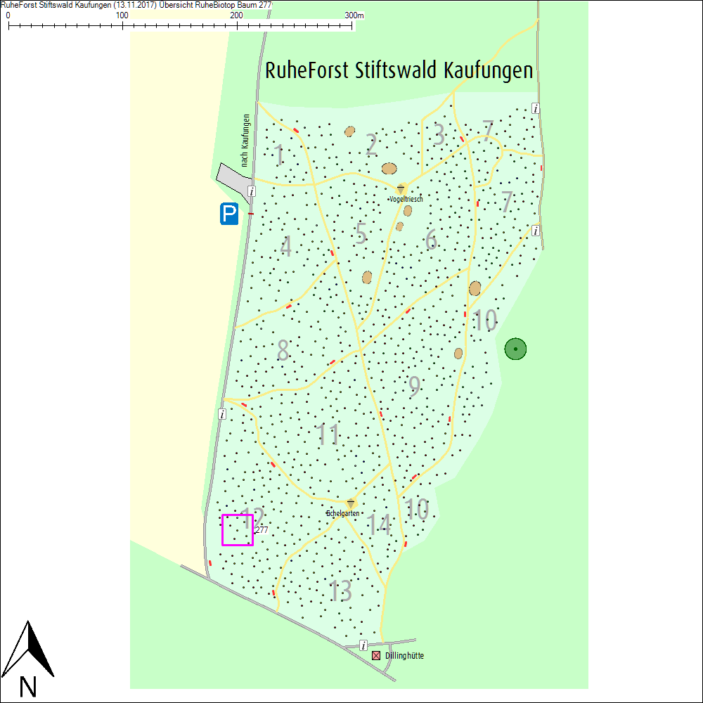 &Uuml;bersichtskarte zu Baum 277