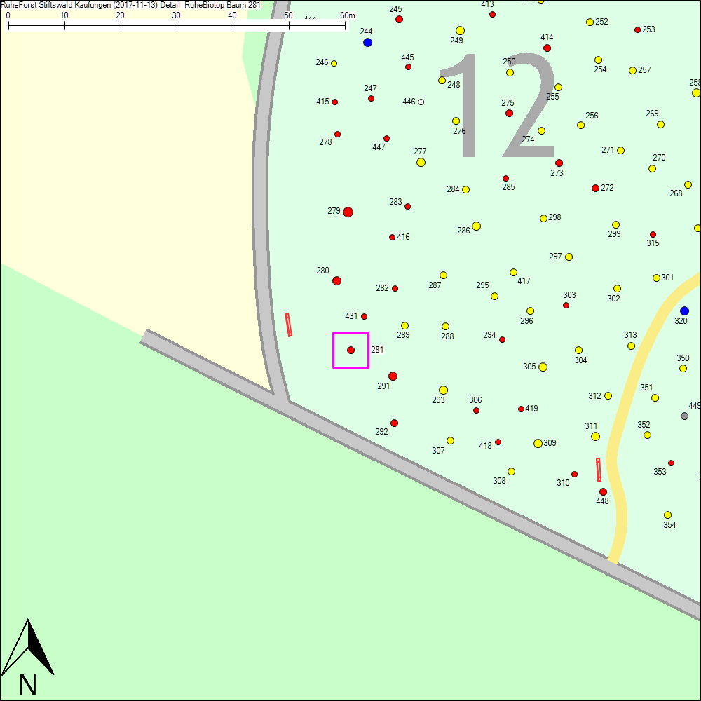 Detailkarte zu Baum 281