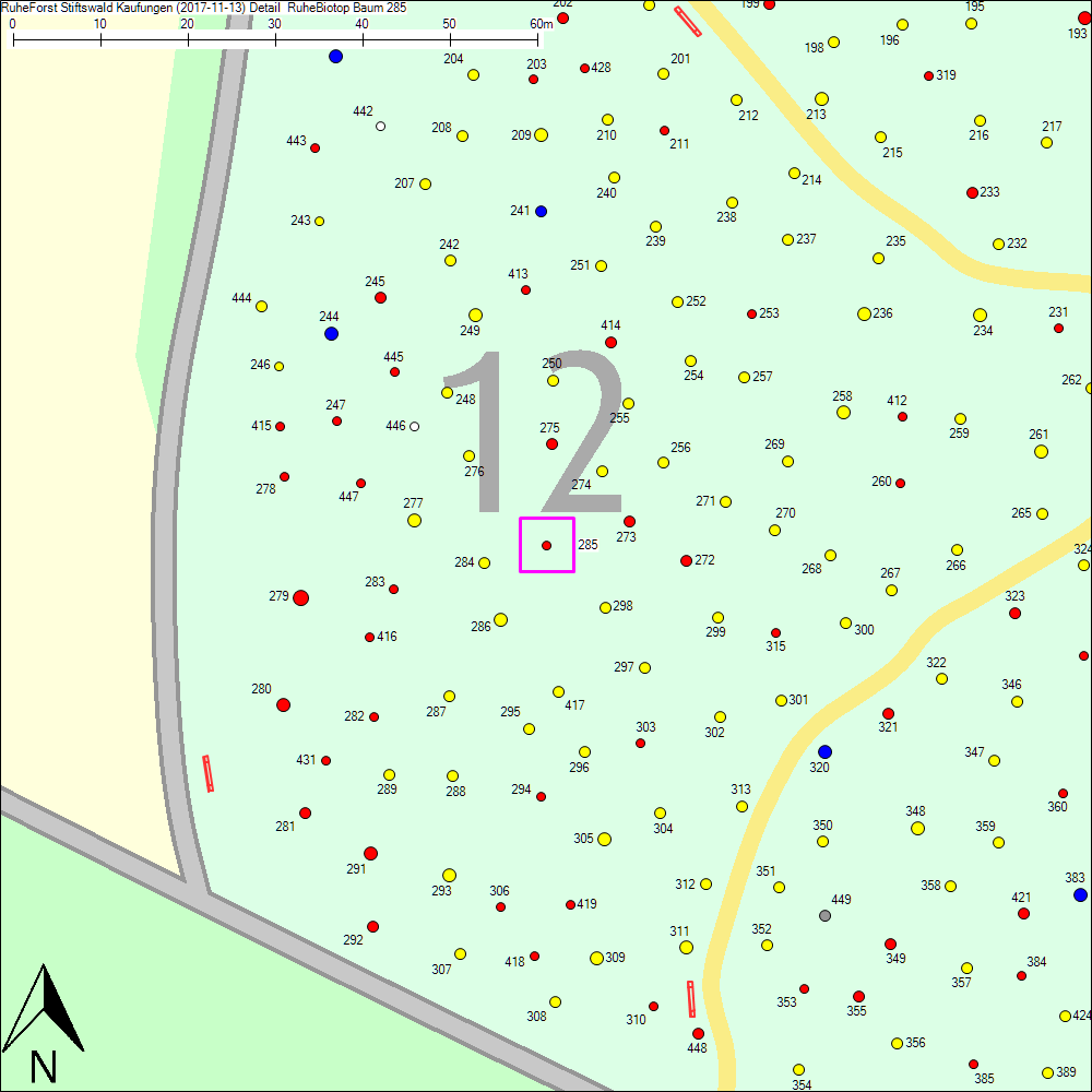 Detailkarte zu Baum 285
