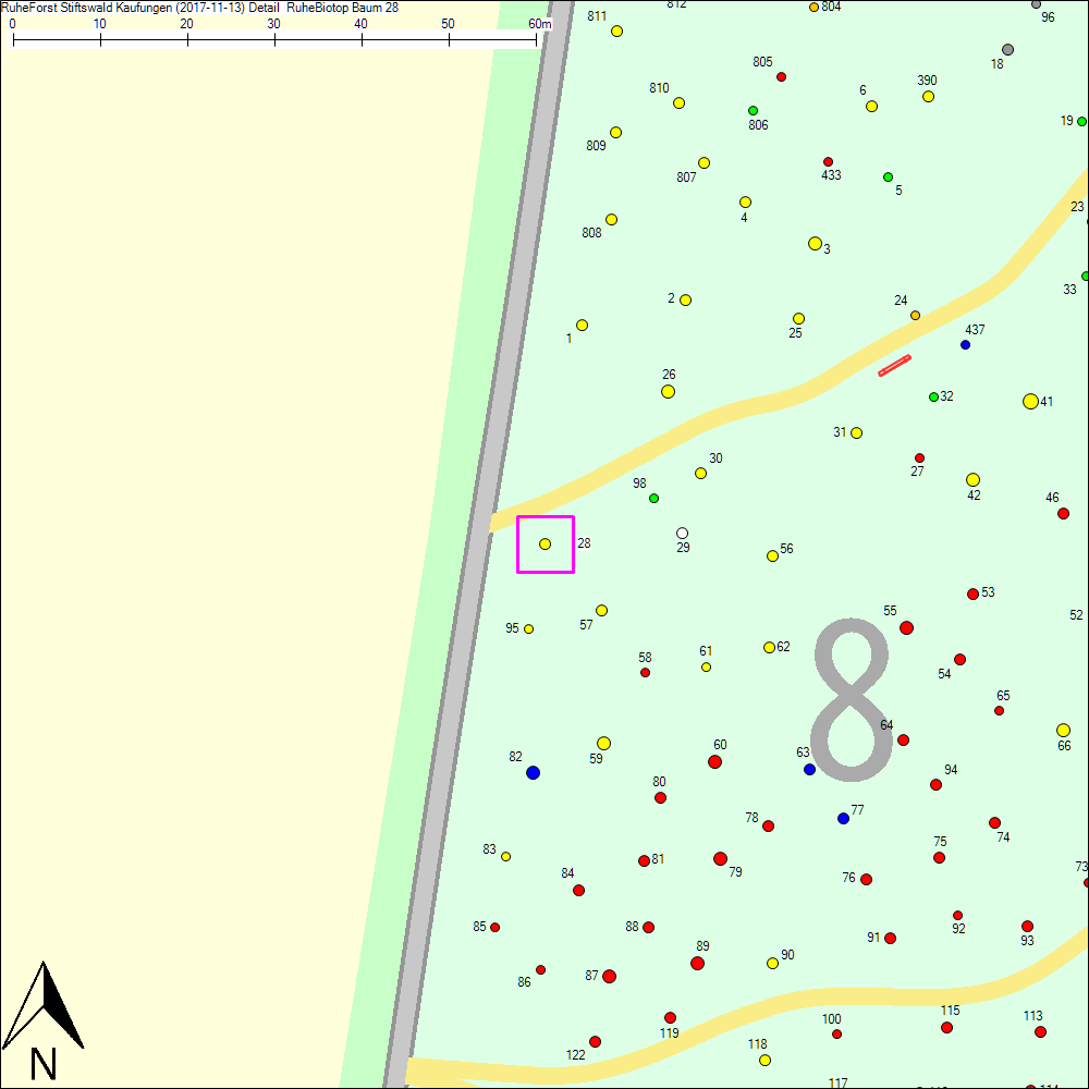 Detailkarte zu Baum 28